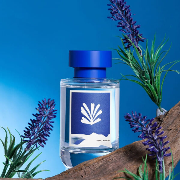 Blue Ocean Fireless Aromatherapy - Image 3